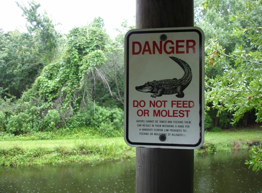 Sawgrass Lake Park – photo 4